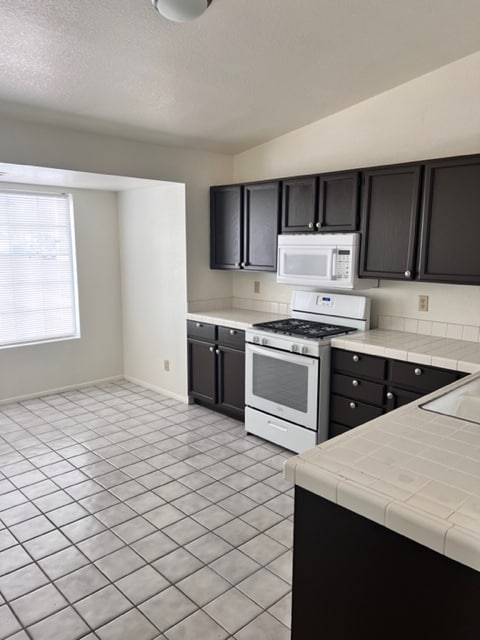 1636 Palmae Way, Las Vegas, NV 89128 - photo 6