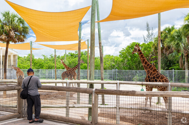 Grey Oaks residents can enjoy local attractions nearby, like the Naples Zoo.