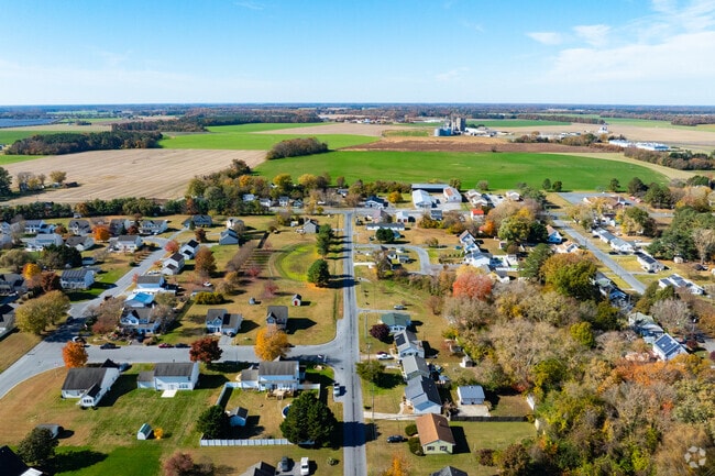 Experience wide open spaces and picturesque farmland in Hurlock.