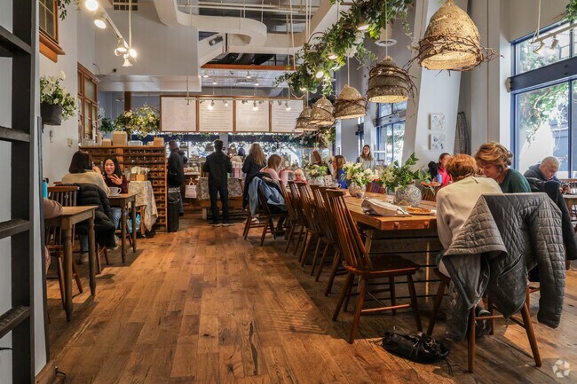 Restaurants for every taste level are around in Chevy Chase Terrace.