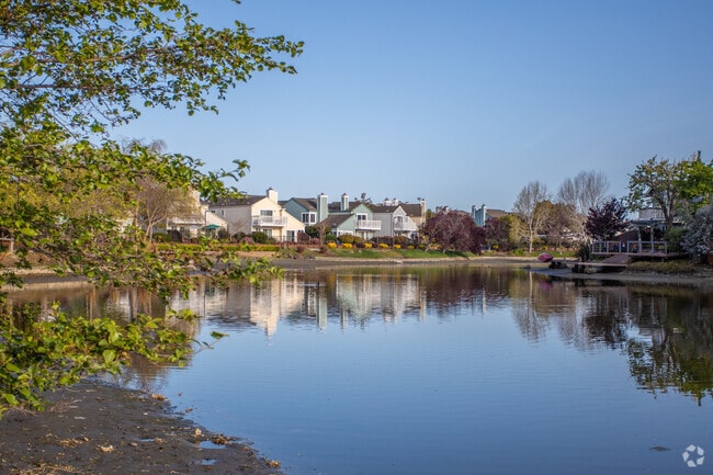 Bay Farm Island Is Full of Small Canals Between the Homes