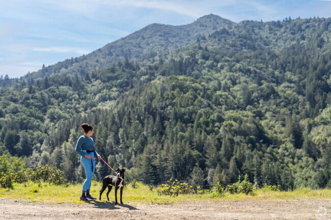 A hiker and her dog enjoy the breathtaking views of Mt. Tam from Indian Fire Road in Kentfield.