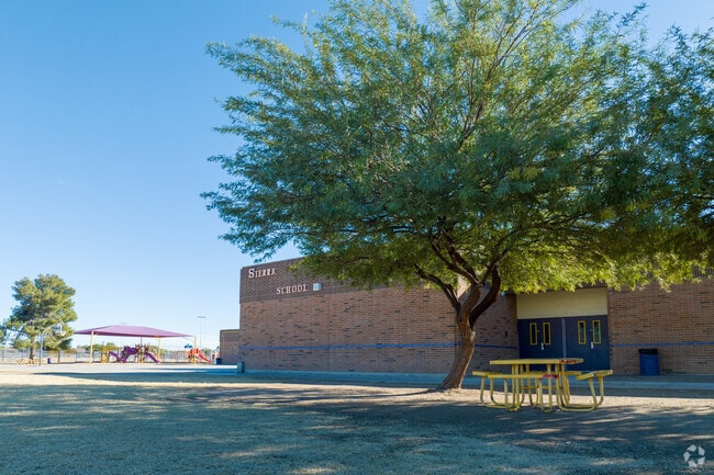 there are many beautiful trees on the campus of Sierra 2-8 School in Tucson, Arizona