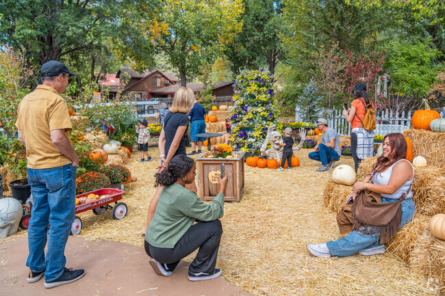 Everywhere you turn is an opportunity for a fall photo at Viola’s Pumpkin Patch.
