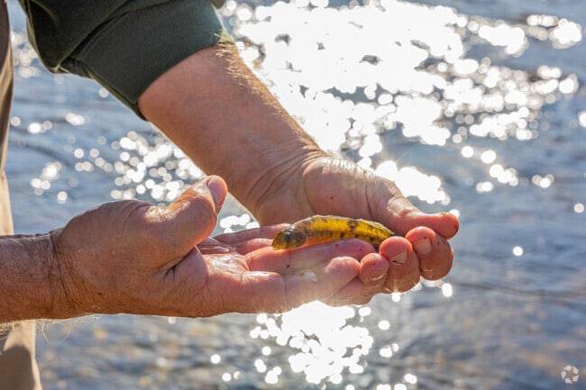 A DNR worker checks on the critters at the Mukwonago River State Natural Area near Genesee Township.
