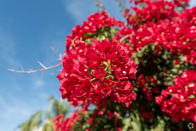 Beautiful flowers are a highlight near the mailboxes at Tyner ranch.
