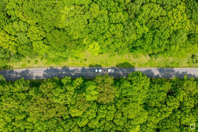 Country Roads wind through dense forests in Hepburn Township.