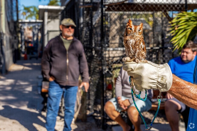 Seaside Seabird Sanctuary is just minutes from Redington Beach offering home to many birds.