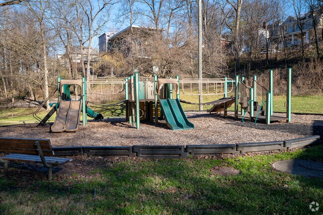 Kids enjoy the playground equipment at Bingham Park.