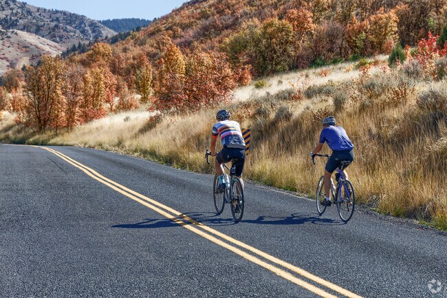 Cyclists love the scenic ride to Cherry Peak Resort, where winding mountain roads and fresh alpine air make every climb rewarding in Richmond.