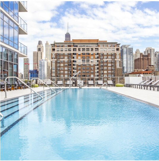 341 W Chestnut St, Chicago, IL 60610 - photo 6