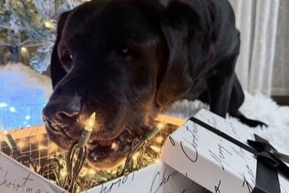 3691 Clay Pond Rd, Myrtle Beach, SC 29579