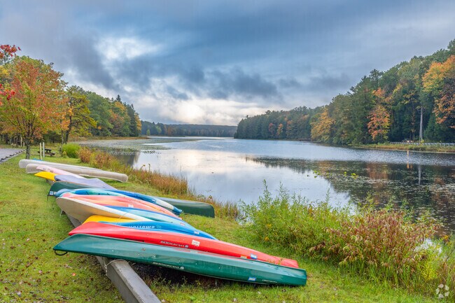 Black Moshannon State Park provides boating and rentals for Rush visitors.