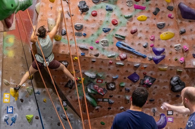 Petra Cliffs in Burlington is an indoor climbing gym that also offers mountaineering classes.