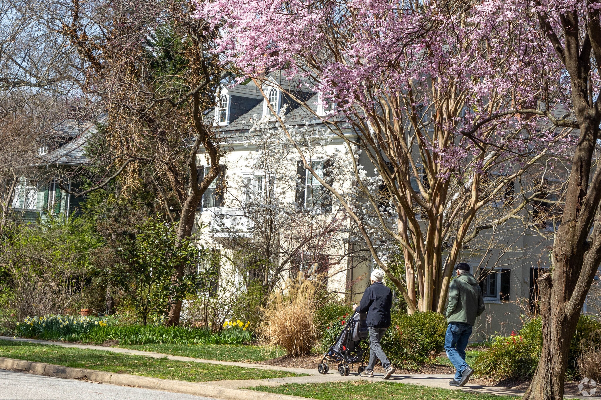 Treelined streets gives Roland Park its fairytale setting.