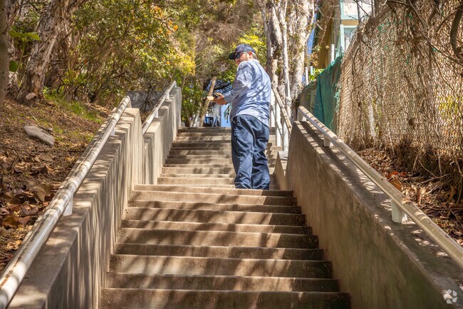 The combination of scenic beauty, challenging stair climb, and intriguing caves makes Thousand Steps Beach a unique destination for locals and tourists alike.