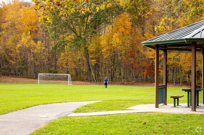 Enjoy scenic and serene fall colors during a disc golf game at Shovlin Park.