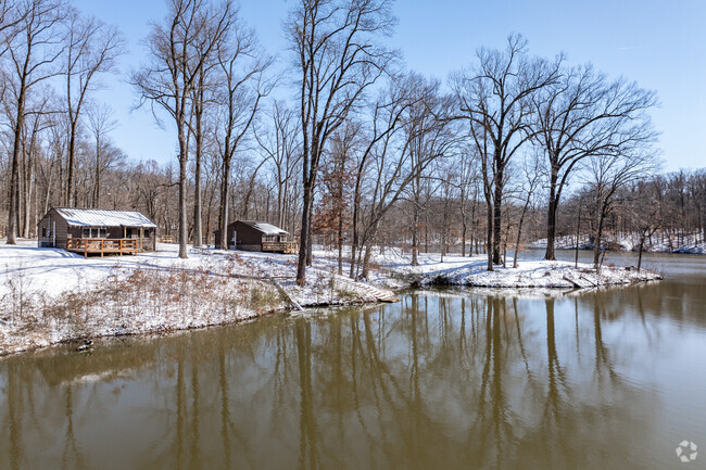 Meeman-Shelby Forest park near Millington features cabins, camping, hiking, and more.