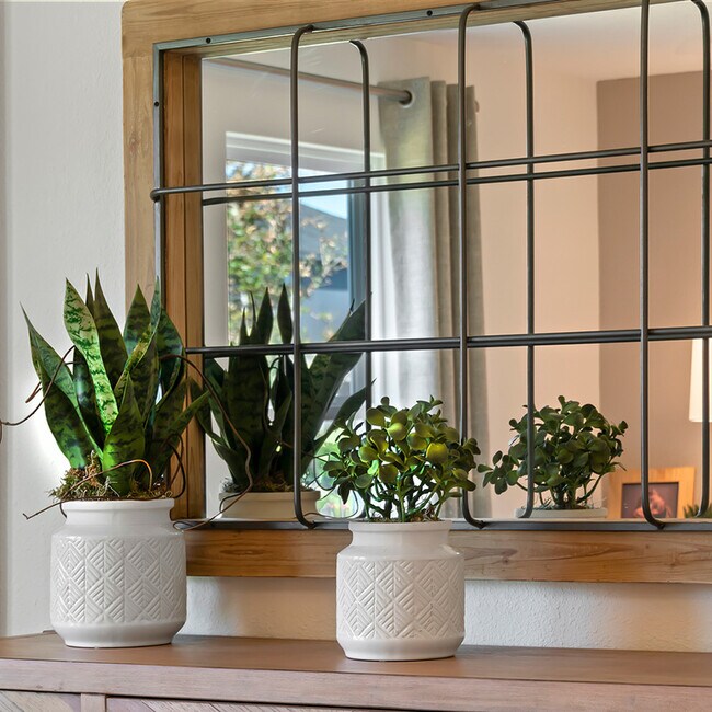 3717 S 83rd Dr unit 36513565, Phoenix, AZ 85043 - photo 5