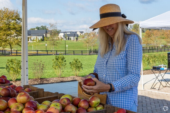 Middleburg Farmers Market supports local growers in Virginia.