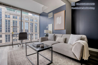 210 N Wells St Unit FL31-ID1075, Chicago, IL 60606