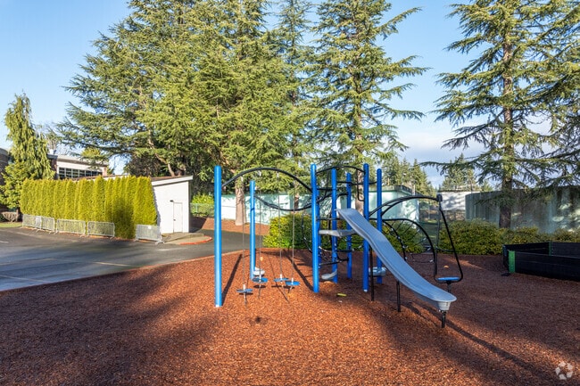 Sacred Heart School playground.