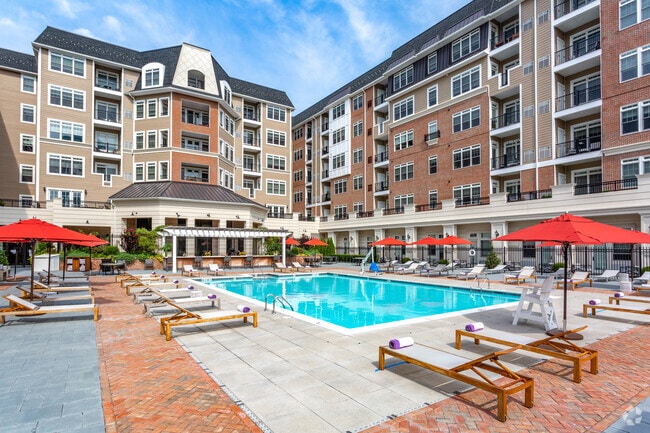 The Vanderbilt, Westbury, NY 11590 - photo 7