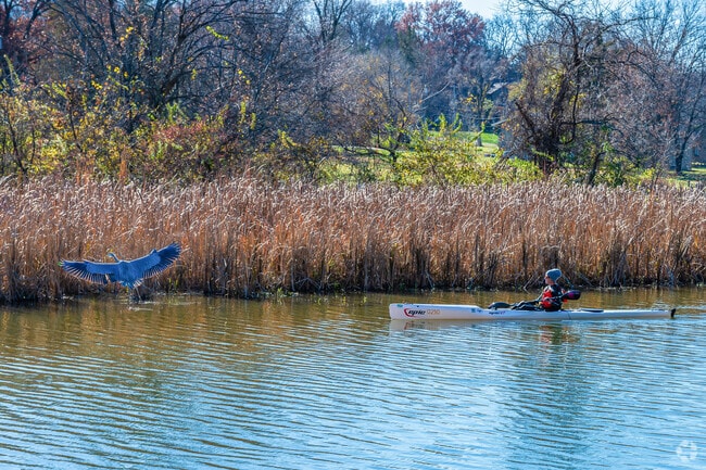 Olathe Lake Park is abundant with natural beauty.