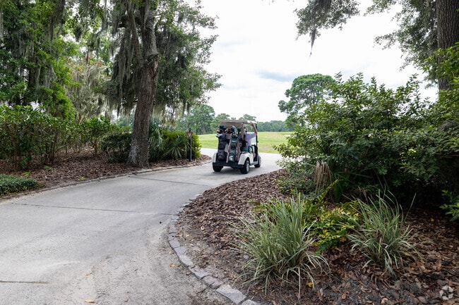 There are dedicated paths for golf cart traffic around the island.