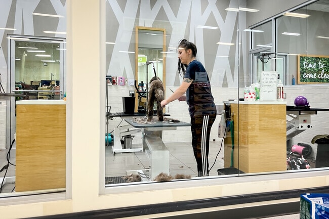 You can get your pet groomed near Willow Springs.