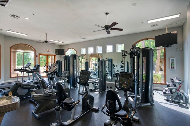 The Palms at Augusta Ranch, Mesa, AZ 85209 - photo 6