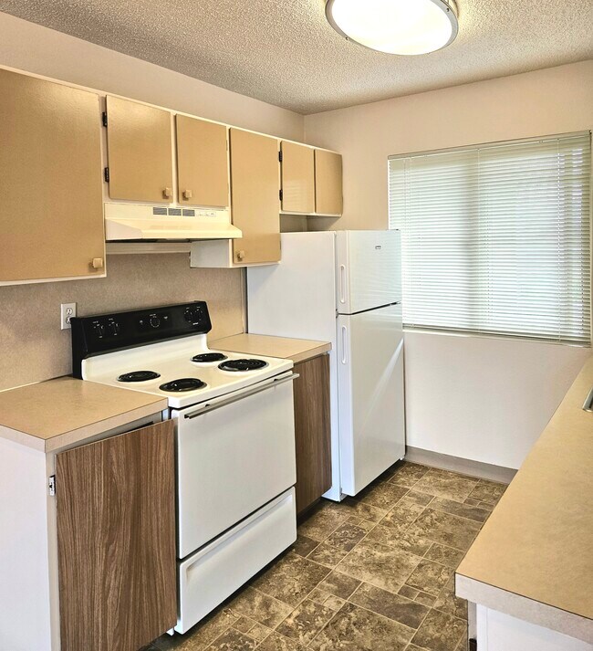 Olympic View, Tacoma, WA 98407 - photo 4