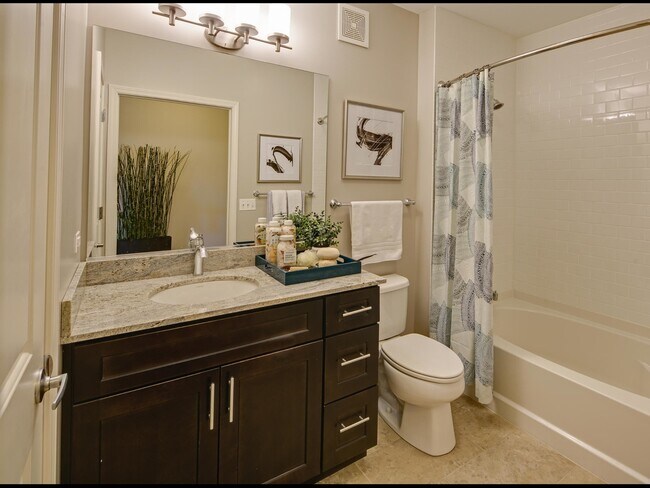 AMLI Evanston, Evanston, IL 60202 - photo 6