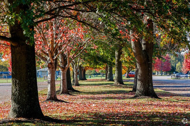 Colorful and plentiful trees in Melbourne beautify the area.