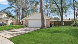 23906 Conefall Ct, Spring, TX 77373