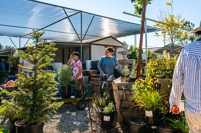 Glendora Gardens Nursery has a wide variety of plants and trees to choose from.