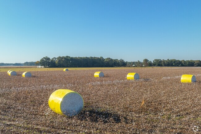 Farmland surrounds the quiet, rural community of Lydia.