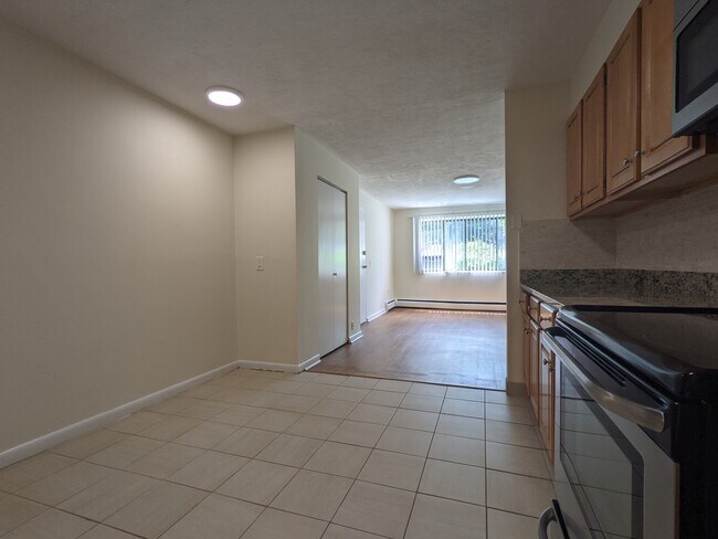 210 Babcock St unit 1B, Brookline, MA 02446 - photo 6