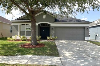 10017 Savannah Bluff Ln, Orlando, FL 32829