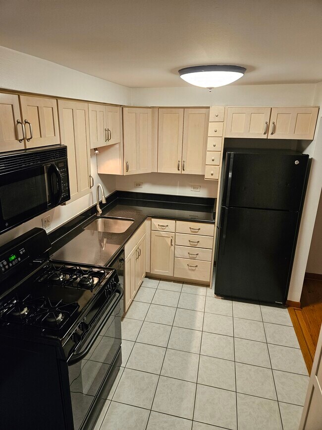 1353 Perry St unit 5, Des Plaines, IL 60016 - photo 7