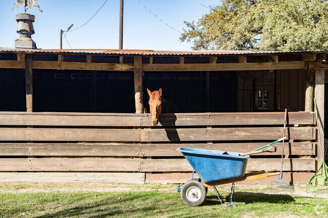 Residents of Angus Ranch say the horses will love you forever if you give them a treat.