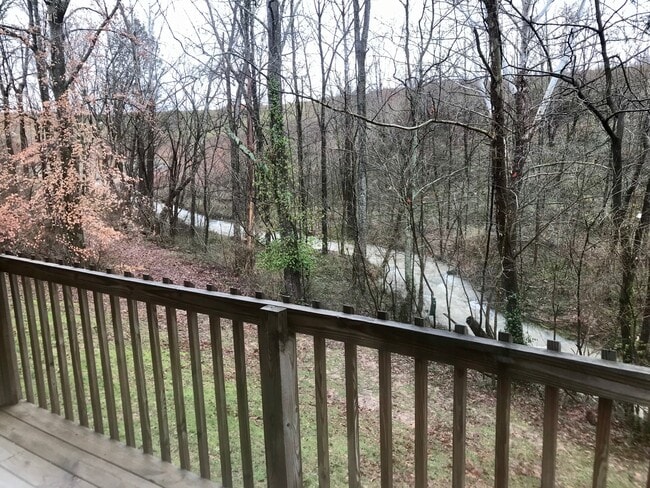 balcony view of creek that runs behind property