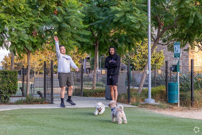 The locals of Platinum Triangle take their pets to the local dog park.
