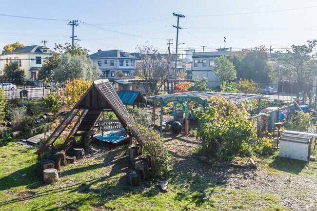 The kids at Hoover Elementary School in Oakland have a great community garden.