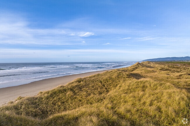 Jetty Beach is a grass filled and dune covered area of Oregon's Central Coast.