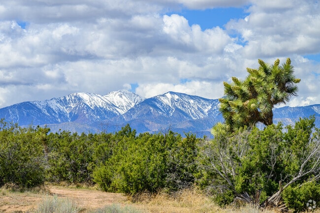 Joshua trees burst out of the sandy terrain, which gives Hesperia Palisades an Old West country feel.