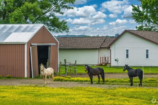 See horses and farm animals in the backyard of homes in Cowan.
