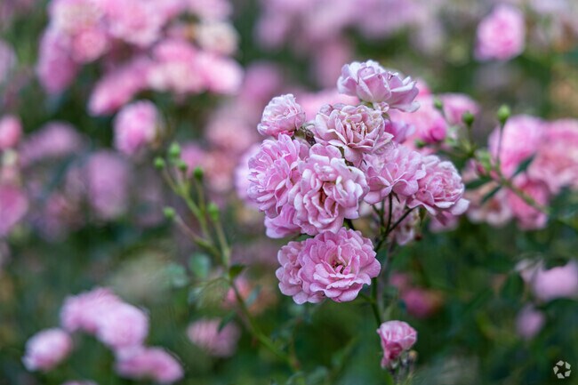 Enjoy the scenery near the Fox River.