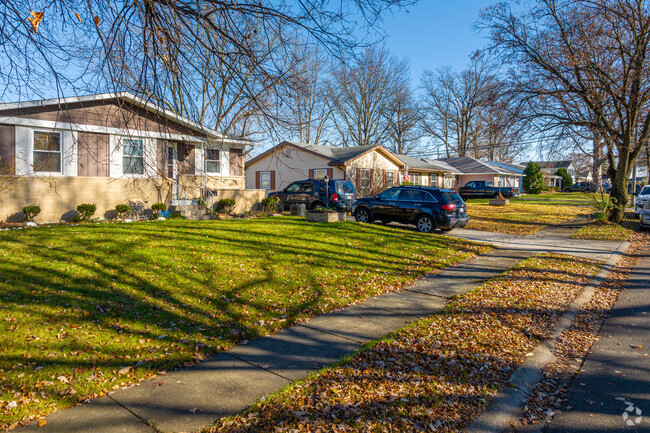 Fort Wayne's Morningside Terrace is full of mature trees.