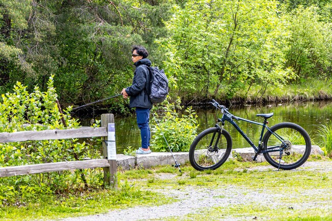 Locals enjoy fishing on the shores of Vadnais-Sucker Lake Regional Park.